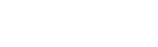 Southbridge insurance group sig logo white