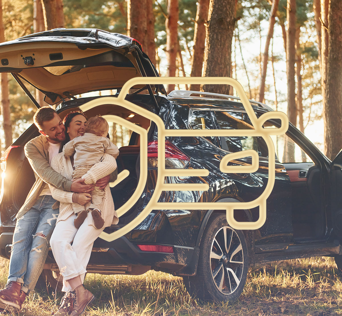 car insurance sig
